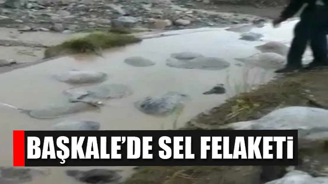 Başkale'de sel felaketi