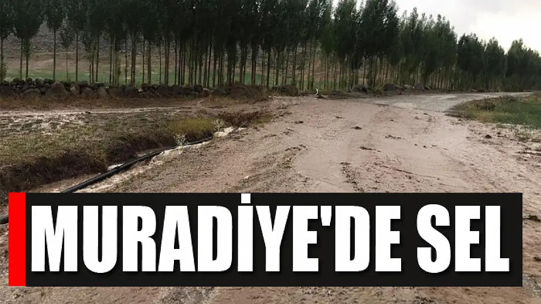 Muradiye'de sel