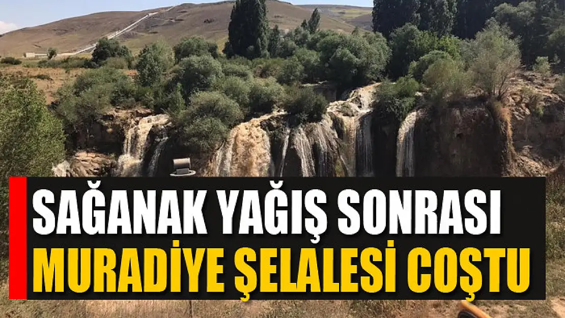 Sağanak yağış sonrası Muradiye Şelalesi coştu