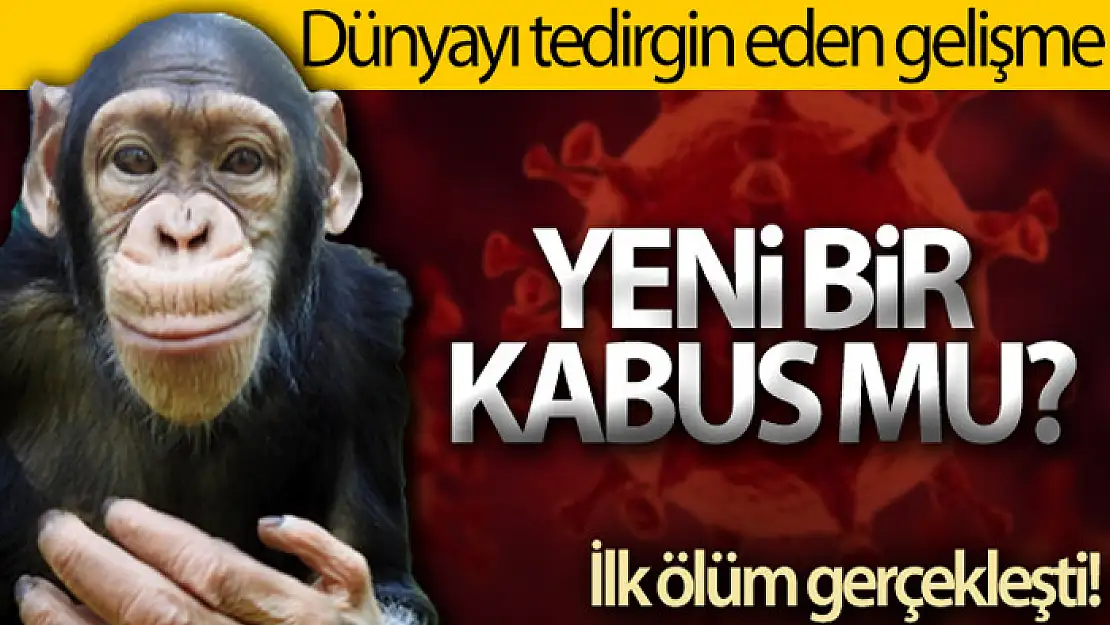 Çin, 'Monkey B' virüsünden ilk can kaybını bildirdi