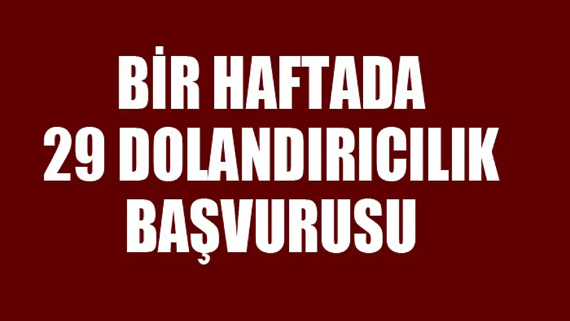 Bir haftada 29 dolandırıcılık başvurusu