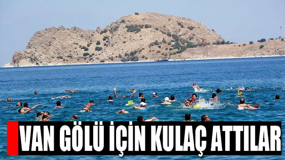 Van Gölü için kulaç attılar