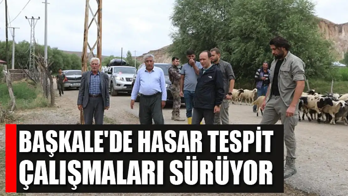 Başkale'de hasar tespit çalışmaları sürüyor