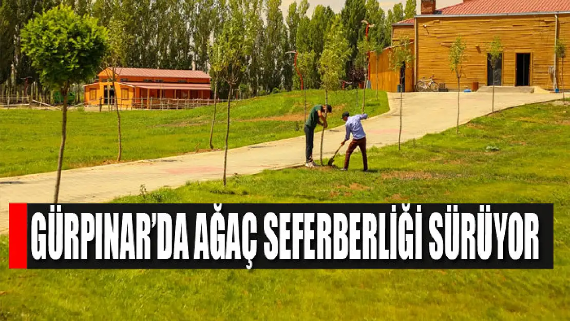 Gürpınar'da ağaç seferberliği sürüyor