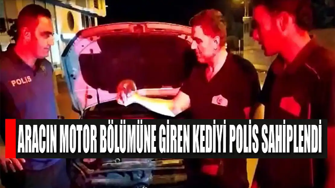 Aracın motor bölümüne giren kediyi polis sahiplendi