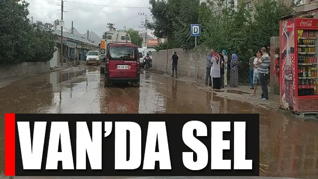 Van'da sel