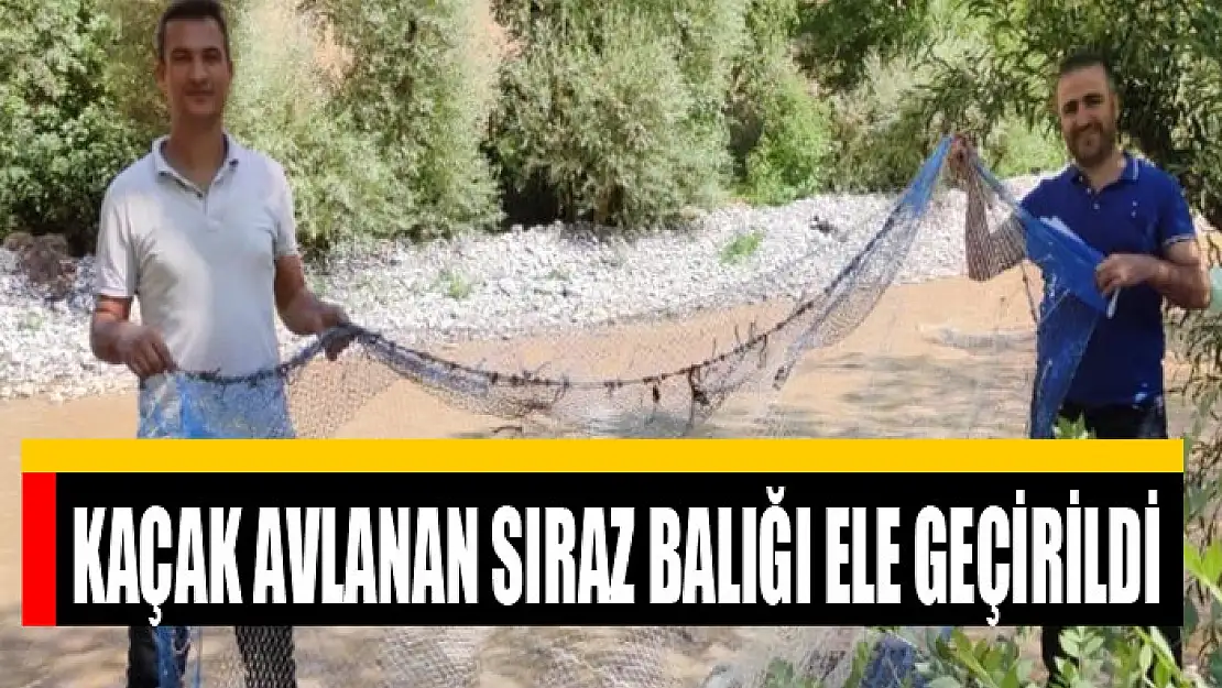 Kaçak avlanan sıraz balığı ele geçirildi