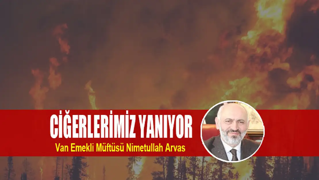 CİĞERLERİMİZ YANIYOR