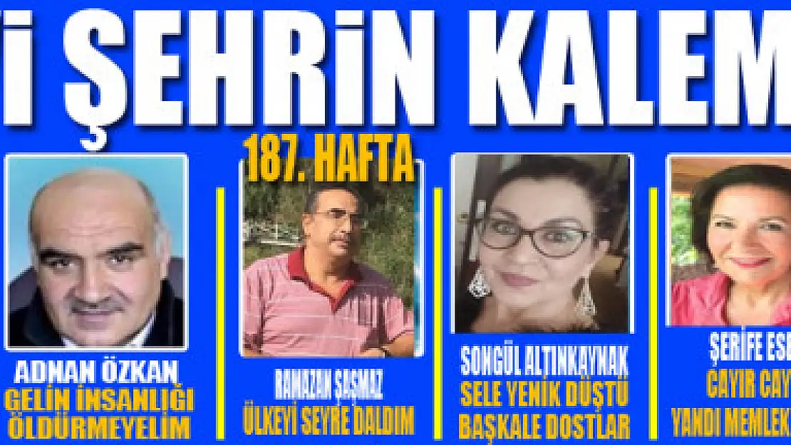 Mavi Şehrin Kalemleri