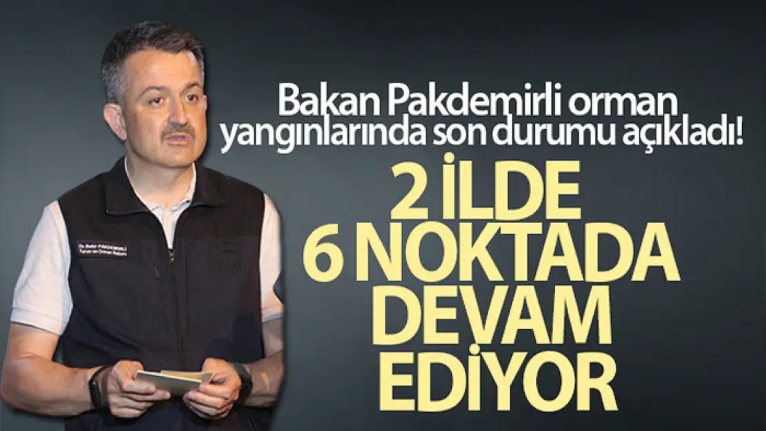 Bakan Pakdemirli orman yangınlarında son durumu açıkladı