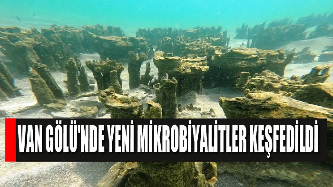 Van Gölü'nde yeni mikrobiyalitler keşfedildi