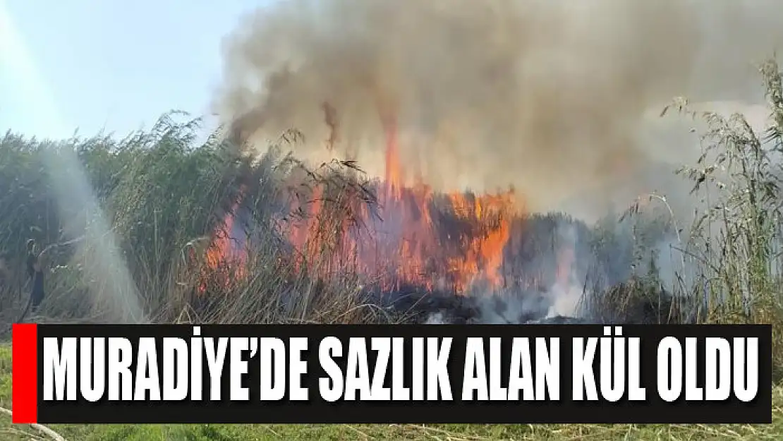 Muradiye'de sazlık alan kül oldu