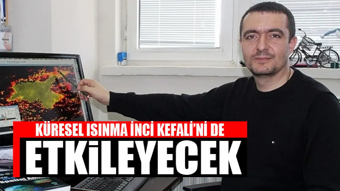 KÜRESEL ISINMA İNCİ KEFALİ'Nİ DE ETKİLEYECEK