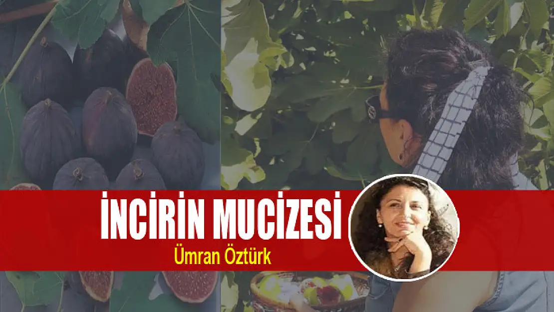 İncirin Mucizesi