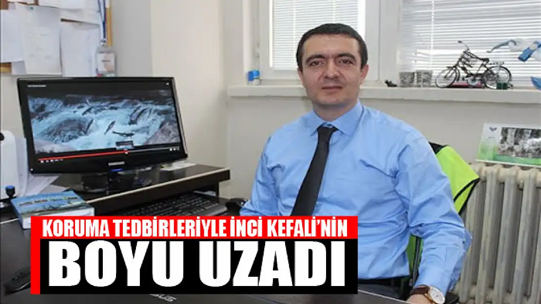 KORUMA TEDBİRLERİYLE İNCİ KEFALİ'NİN BOYU UZADI