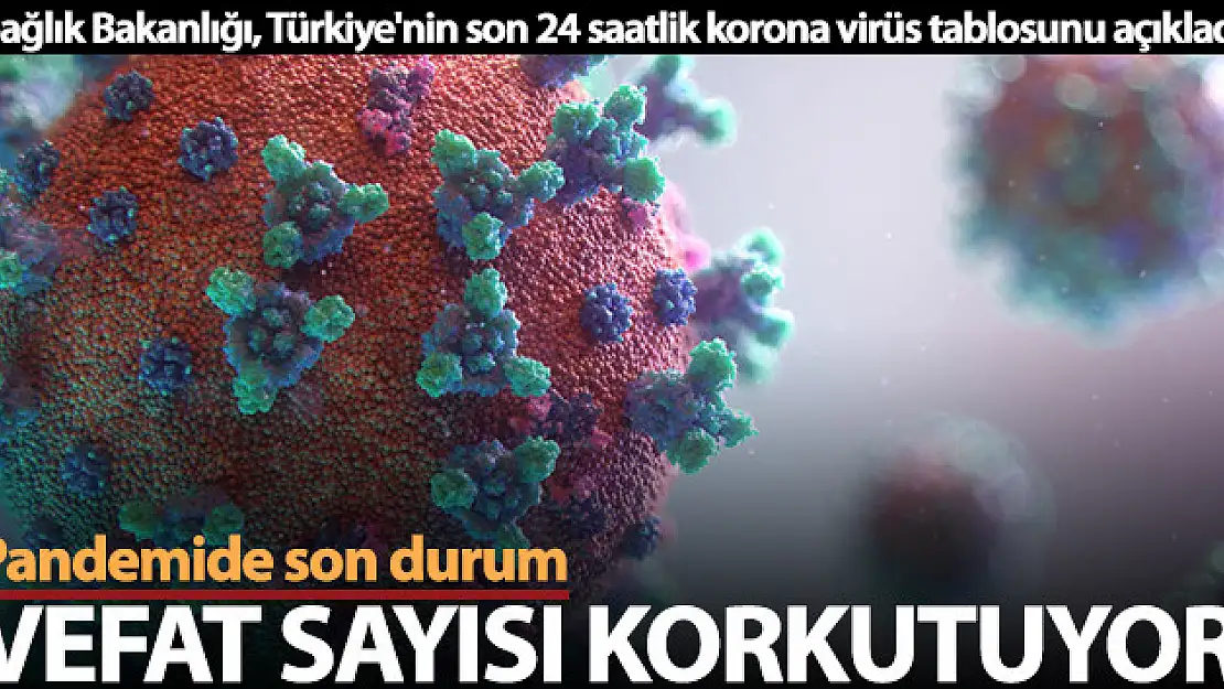 Son 24 saatte korona virüsten 232 kişi hayatını kaybetti