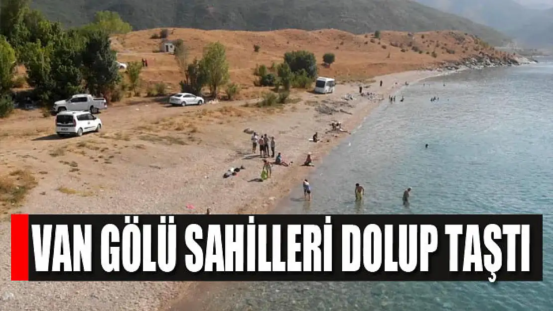 Van Gölü sahilleri dolup taştı