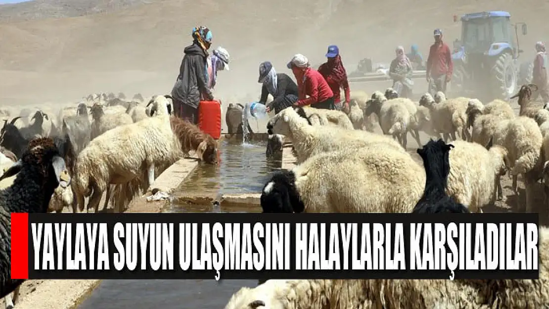 Yaylaya suyun ulaşmasını halaylarla karşıladılar