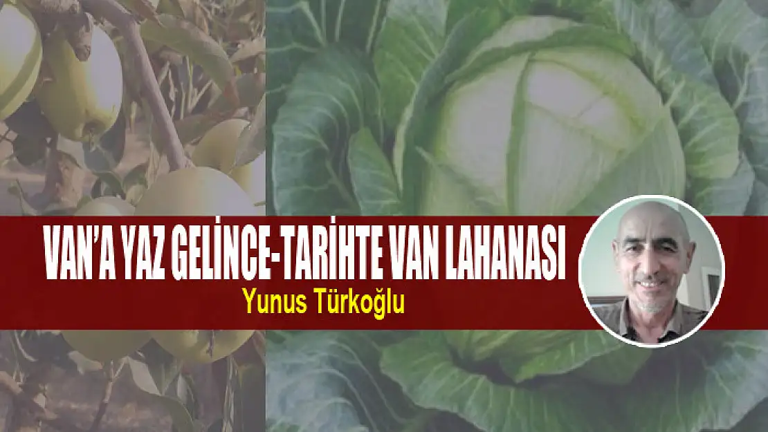 Van'a Yaz Gelince-Tarihte Van Lahanası