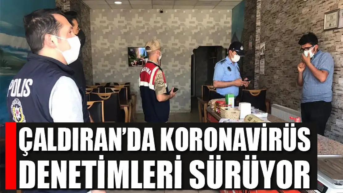 Çaldıran'da koronavirüs denetimleri sürüyor