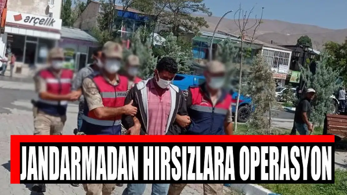 Jandarmadan hırsızlara operasyon