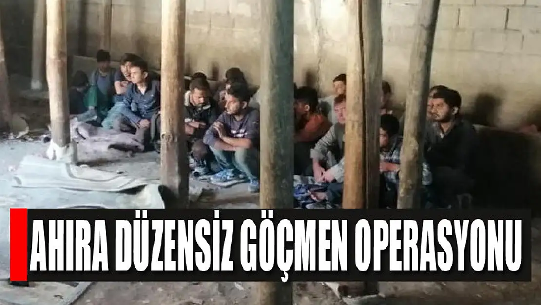 Ahıra düzensiz göçmen operasyonu