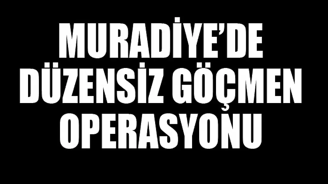 Muradiye'de 10 düzensiz göçmen yakalandı