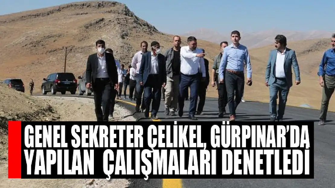 Genel Sekreter Çelikel, Gürpınar'da yapılan çalışmaları denetledi