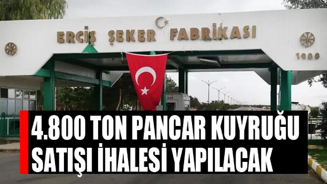 4.800 ton pancar kuyruğu satışı İhalesi yapılacak