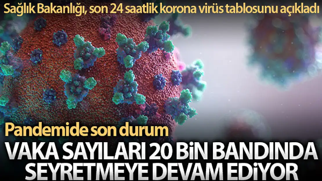 Son 24 saatte korona virüsten 271 kişi hayatını kaybetti