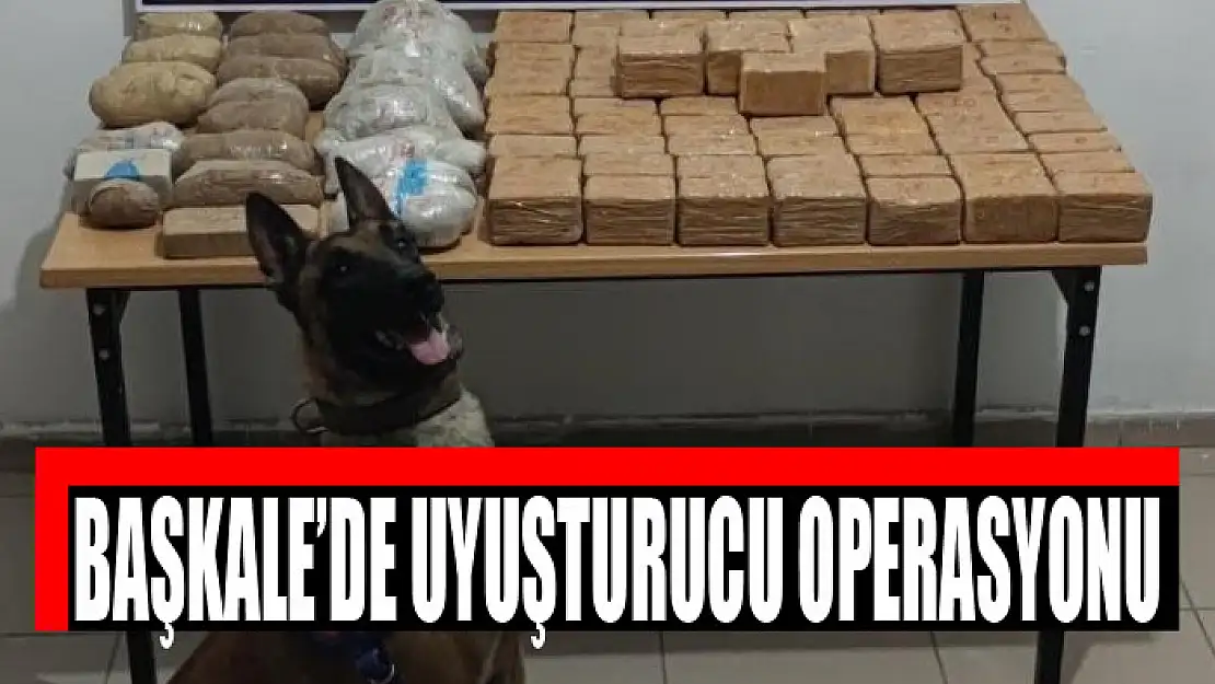 Başkale'de uyuşturucu operasyonu