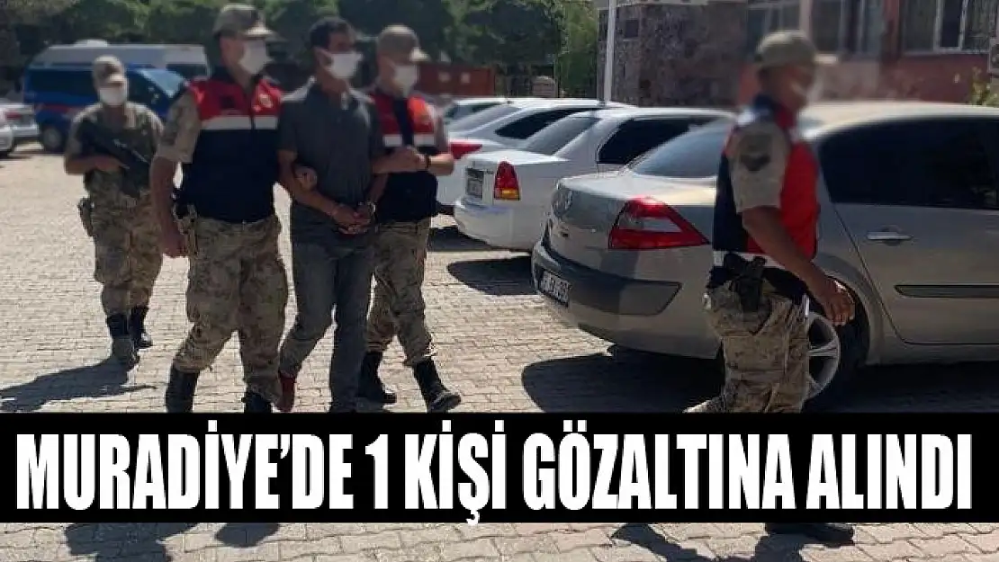 Muradiye'de 1 kişi gözaltına alındı