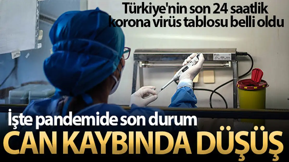 Son 24 saatte korona virüsten 257 kişi hayatını kaybetti