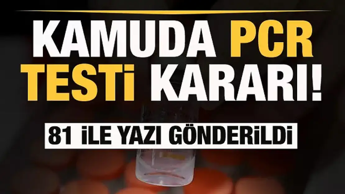 Kamuda PCR testiyle ilgili son dakika kararı! 81 ile yazı gönderildi