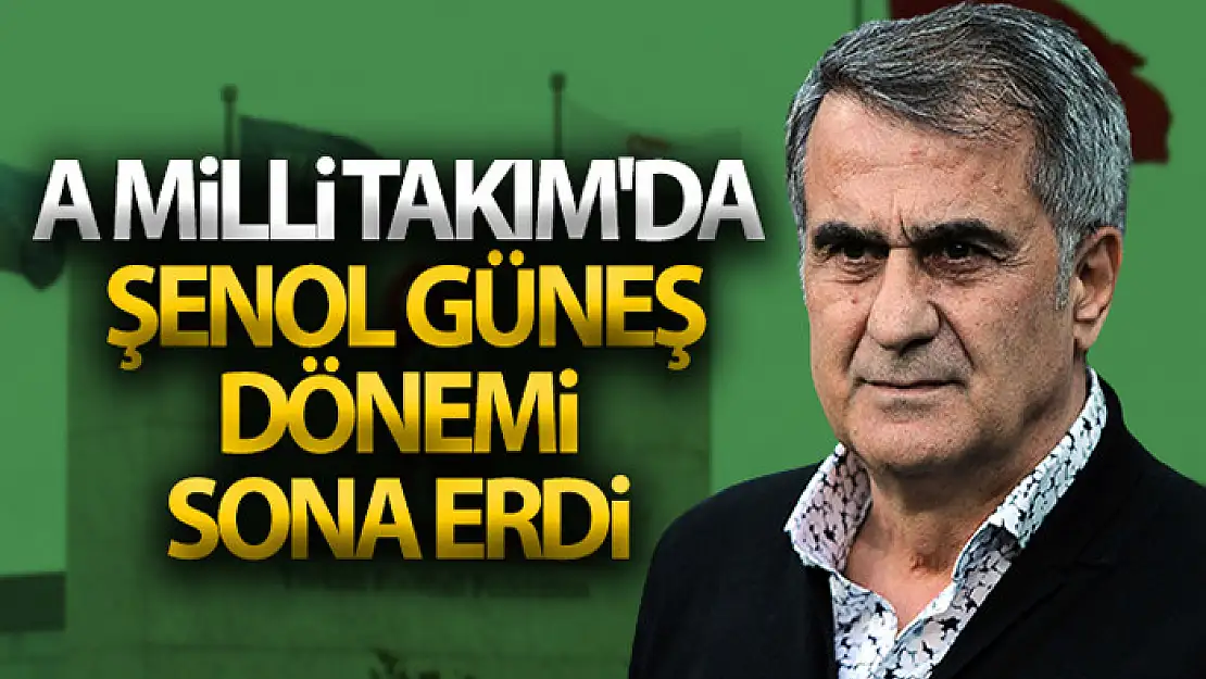 A Milli Takım'da Şenol Güneş ile yollar ayrıldı