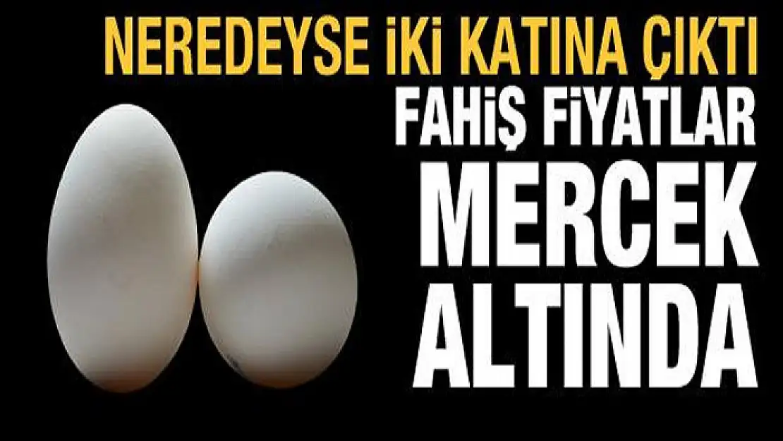 Yumurta fiyatları bir senede neredeyse iki kat arttı: Artan fiyat mercek altında