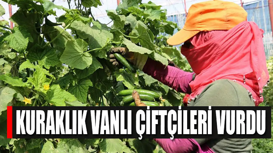 Kuraklık Vanlı çiftçileri vurdu