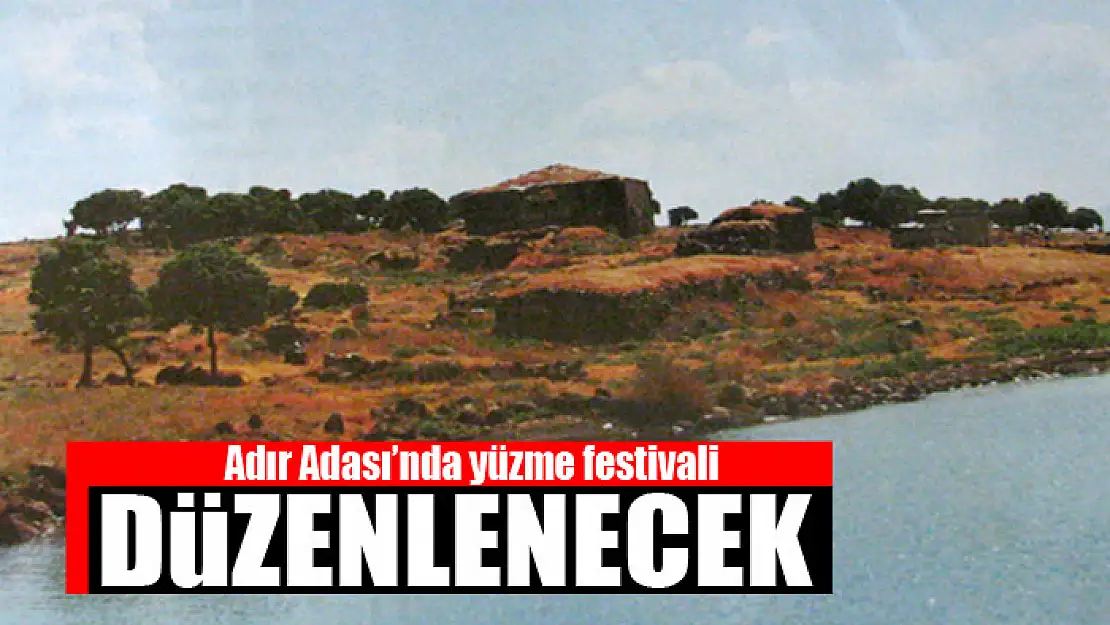 Adır Adası'nda yüzme festivali düzenlenecek