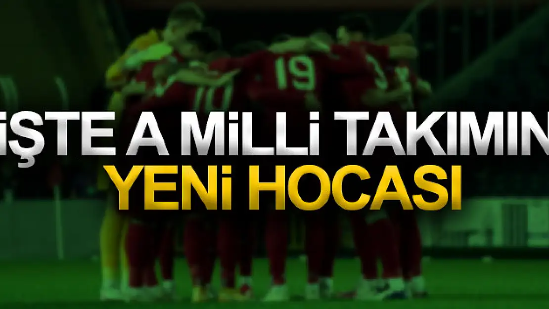 İşte A Milli Takımın yeni hocası!