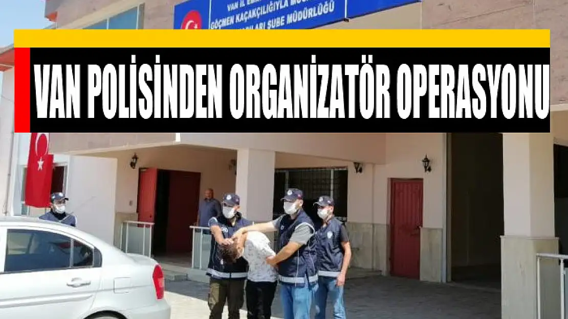 Van polisinden organizatör operasyonu