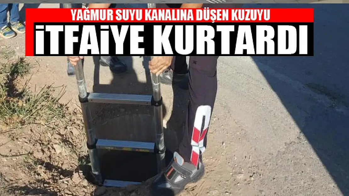 Yağmur suyu kanalına düşen kuzuyu itfaiye kurtardı