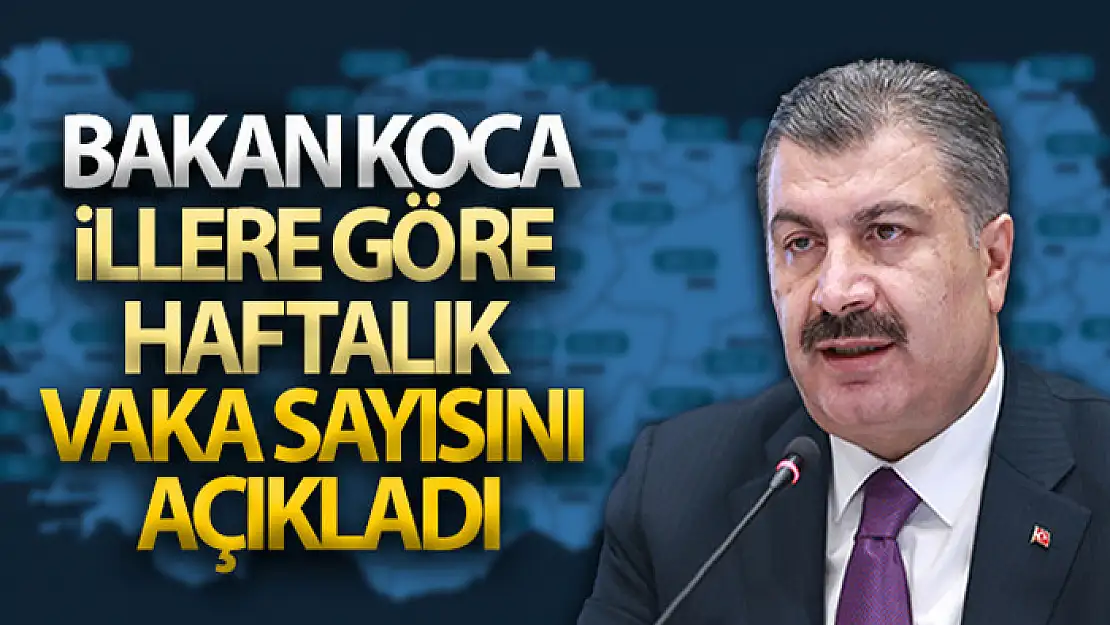 İllere göre haftalık vaka sayısı