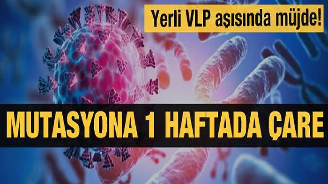 Yeni VLP aşısı mutasyonlara karşı etkili olacak