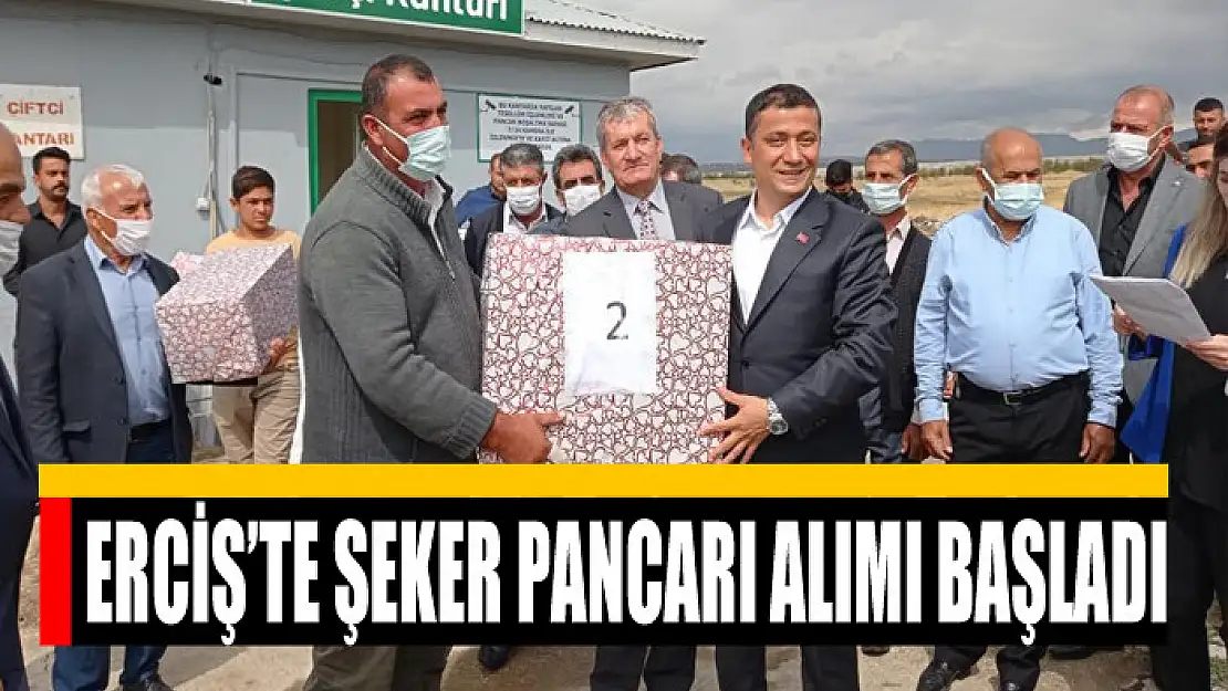 Erciş'te şeker pancarı alımı başladı