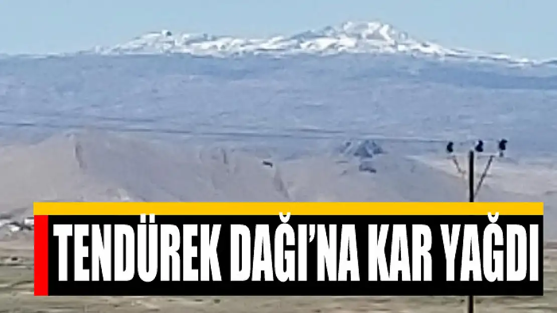 Tendürek Dağı'na kar yağdı