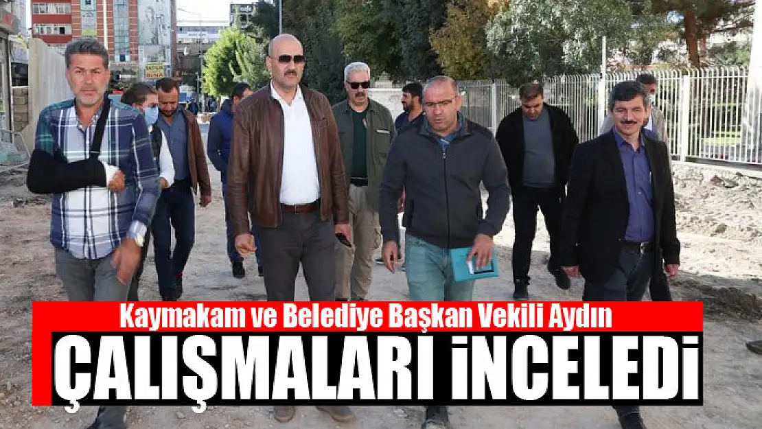 Kaymakam ve Belediye Başkan Vekili Aydın çalışmaları inceledi