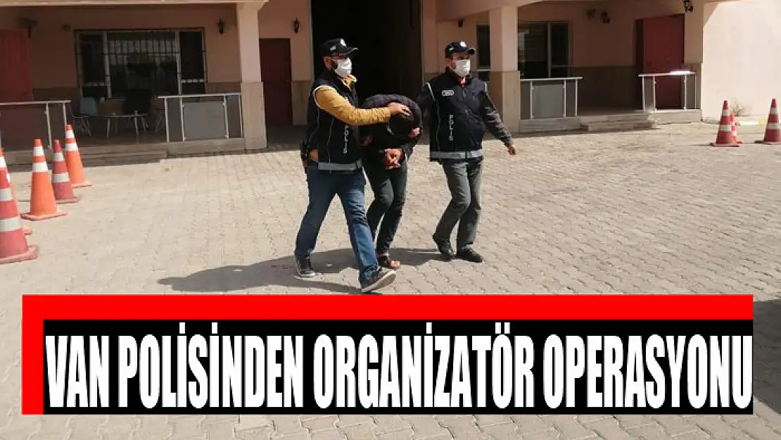 Van polisinden organizatör operasyonu