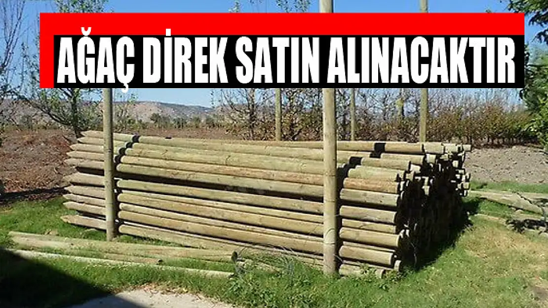 Ağaç direk satın alınacaktır