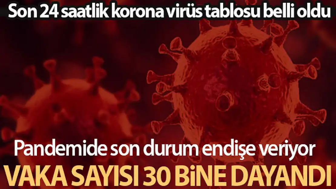 Son 24 saatte korona virüsten 216 kişi hayatını kaybetti