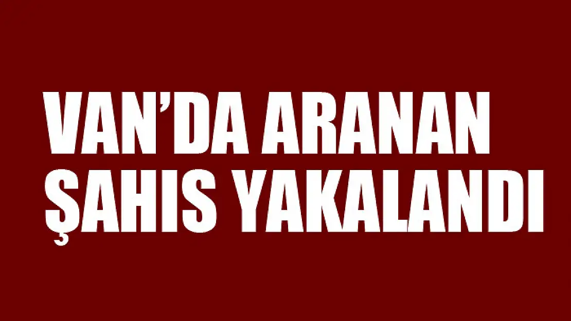 Van'da aranan şahıs yakalandı